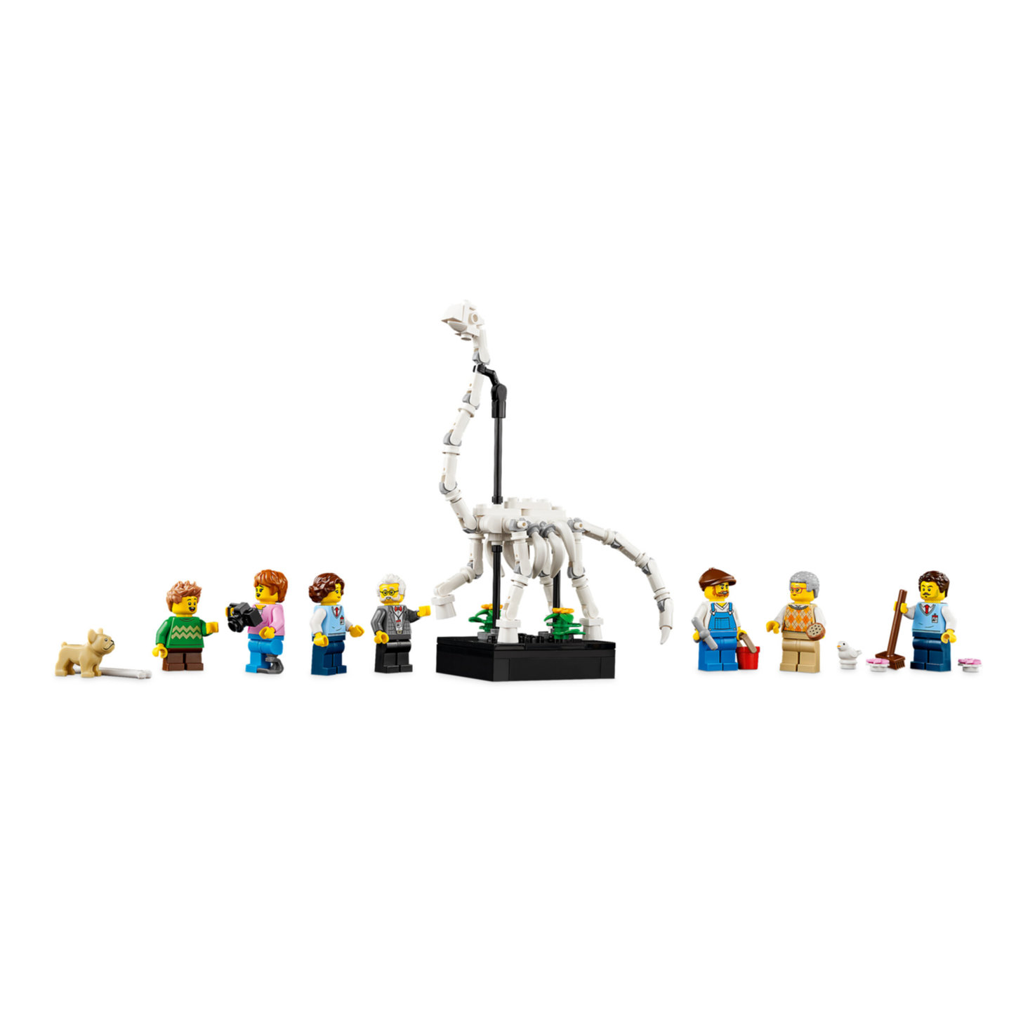 LEGO® Icons 10326 Naturhistorisches Museum (LEGO® Rare Set)