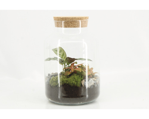 Flessentuin DIY Set Complete Set Basis H 26-28 cm Ø 17 cm