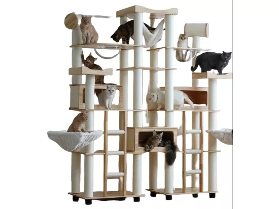 Arbre à chat, Cadre d'escalade pour chat en bois, 275cm×h238cm