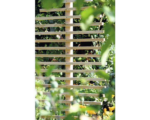 Houten trellis met bladvorm (Fagusblad), 84 x 6,5 x 160 cm, natuurlijke afwerking