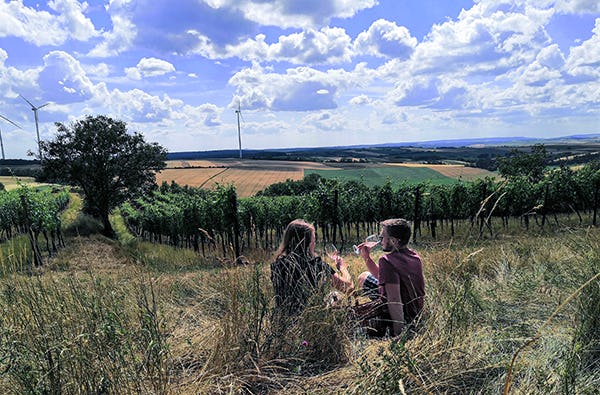 Picknick im Weingarten Hohenruppersdorf für 2