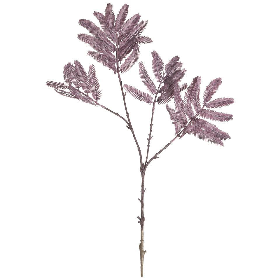 Kunsttak Mimosa