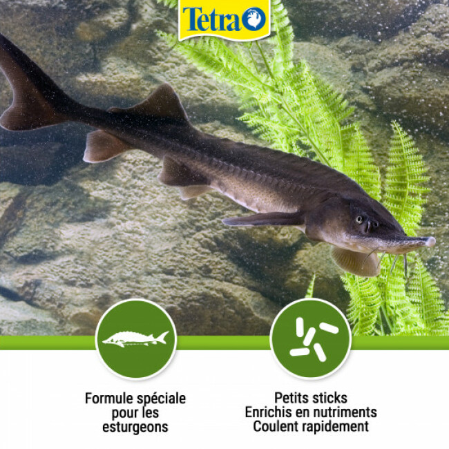Alimentation Tetra Pond Sterlet Sticks pour poissons de bassin