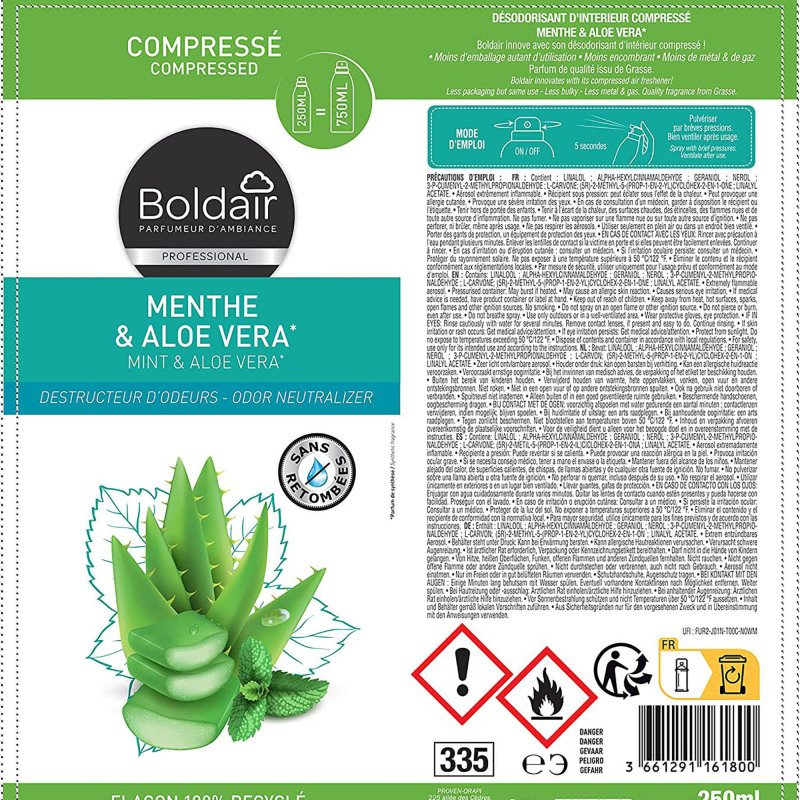 Destructeur d'odeurs Boldair Menthe & Aloe vera - Aérosol 250 ml