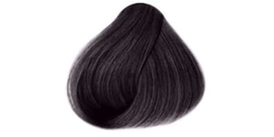SANOTINT Haarcoloration Schwarz 125 ml Naturnahe Haarfarbe mit Extrakten von Goldhirse, Oliven, Birke und Traubenblättern