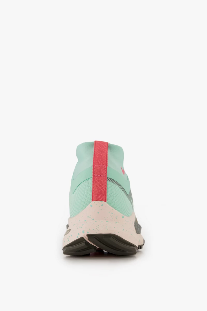 Nike React Pegasus Trail 4 Gore-Tex® Damen Trailrunningschuh