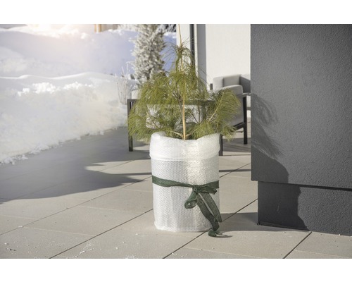 FloraSelf Winter Noppenfolie 5x1 m Transparant