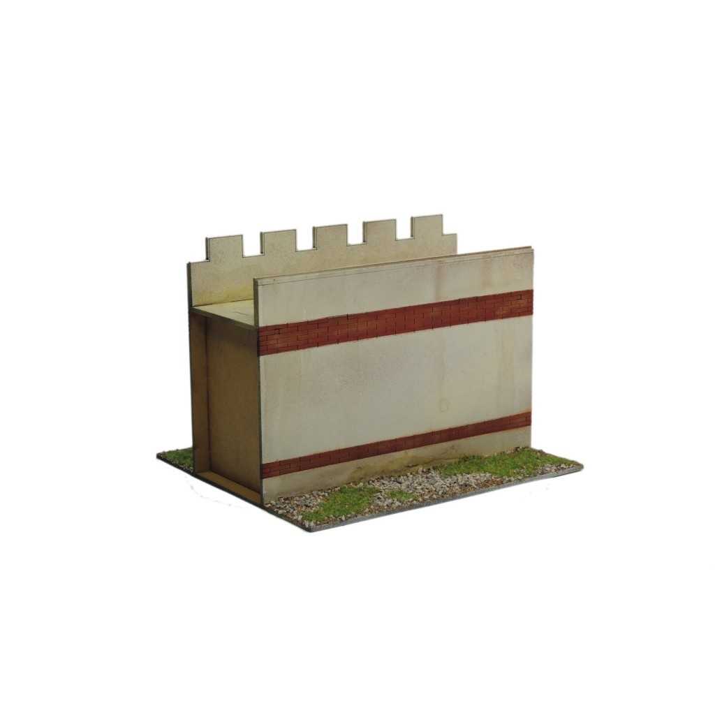 Town Wall Short
