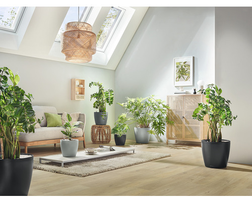 Lechuza Classio Eco plantenbak van 100% gerecycled kunststof, Ø 60 cm, donkergrijs, inclusief zelfbewateringssysteem