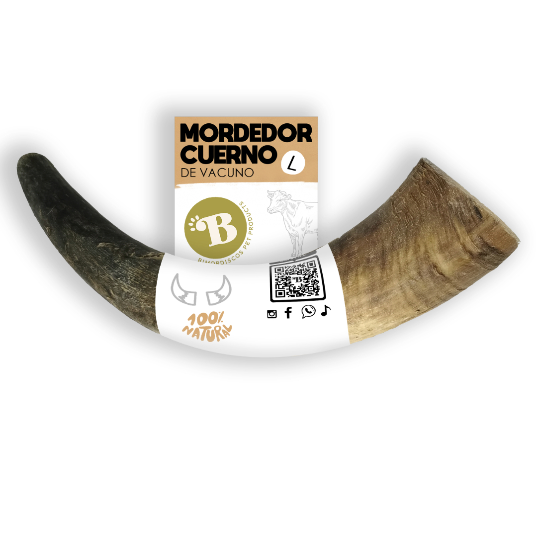 BIMORDISCO Chifre de Vaca/Touro Mastigável para Cães, Pacote com 2 x Tamanho Grande