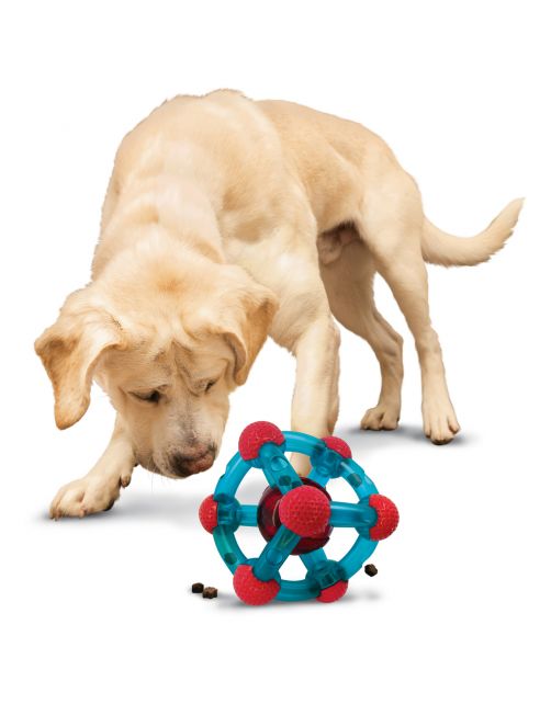 Kong Rewards Tinker - Hondenspeelgoed - Blauw Rood Medium\/Large