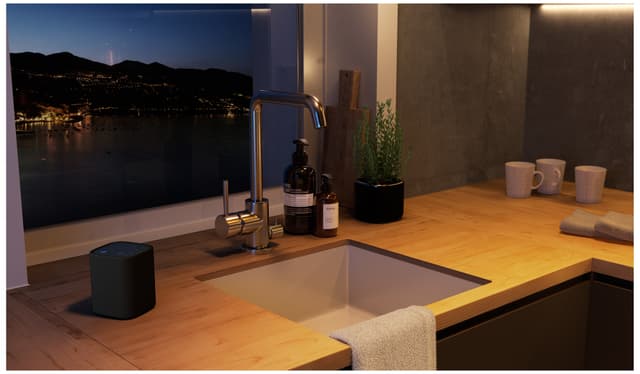 Yamaha True X trådløs højttaler (sort)