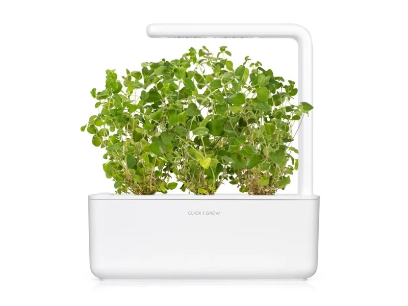 Click and Grow - Smart Garden 3 stykker - Oregano-frø