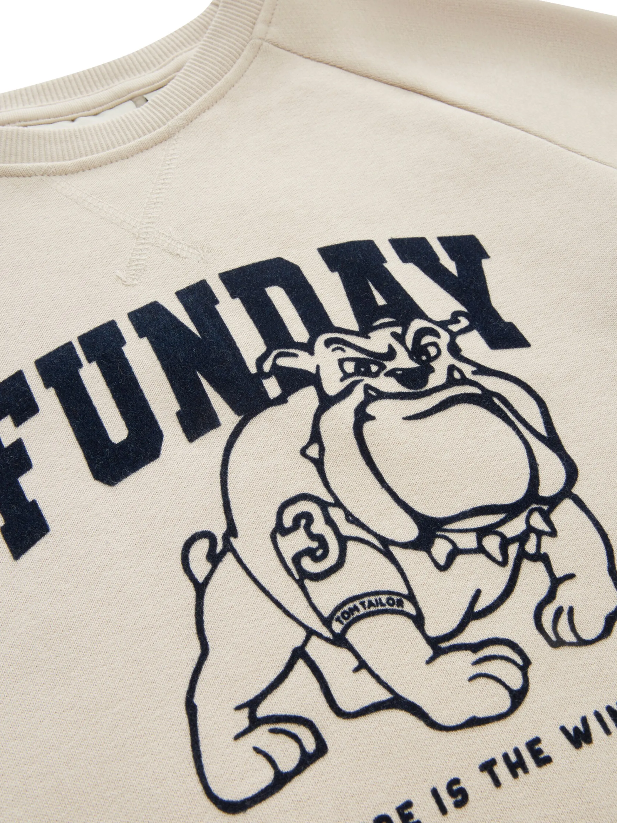 Kinder Sweatshirt mit Frontprint