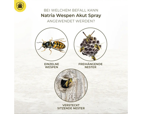 Natria Wespen Acute Spray (3in1) 400 ml
