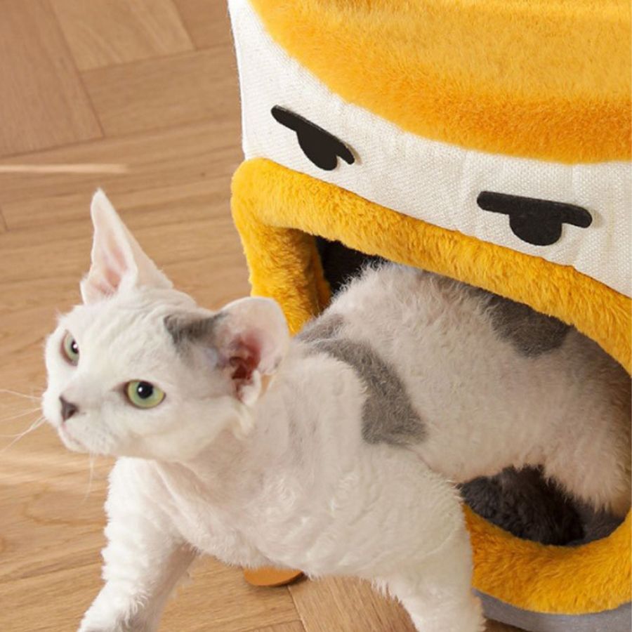 casinha de animais de estimação com carinha sorridente
