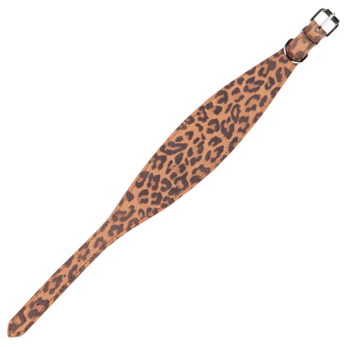 Coleira Arppe com estampa de leopardo para galgos