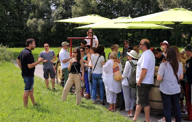 Weinprobe Schweinfurt