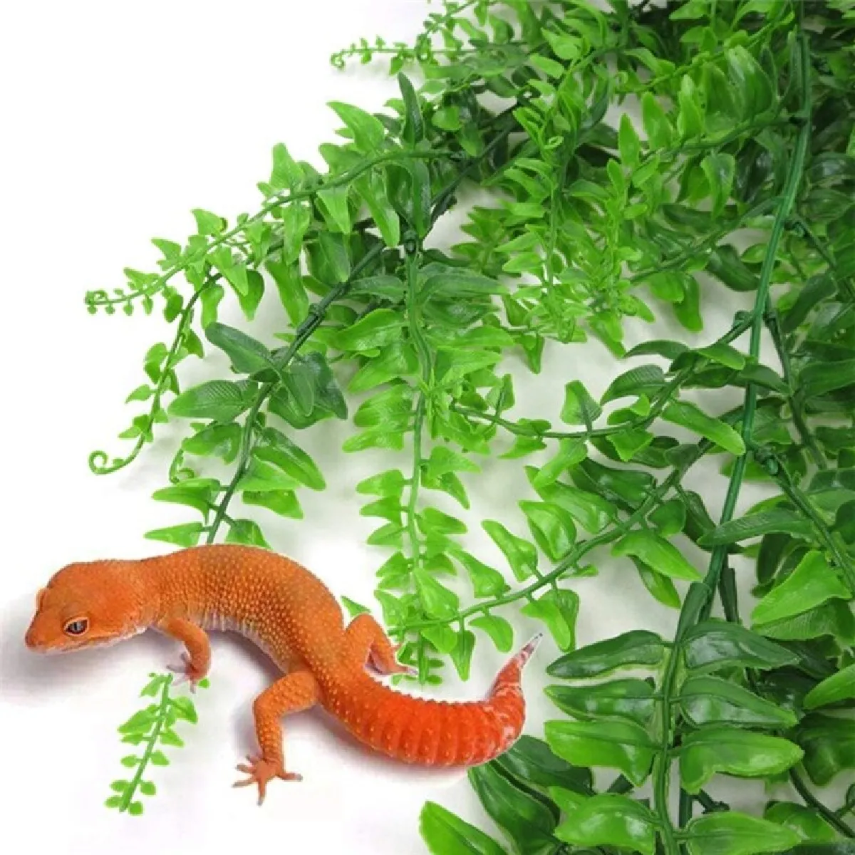 Universal Plantes Reptiles Suspendues