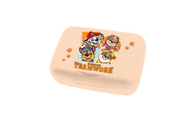 Koziol Candy L Box Lunchbox / Brotdose mit Trennschale