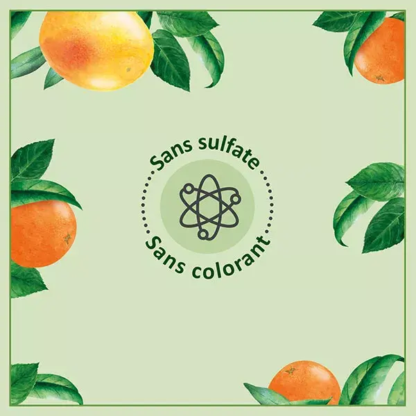 Le Petit Marseillais Bio Gel Douche Orange Pamplemousse Éco-Recharge 250ml