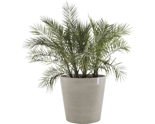 Ecopots Amsterdam plantenbak met wielen, kunststof, Ø 60 cm, H 56 cm, bruingrijs