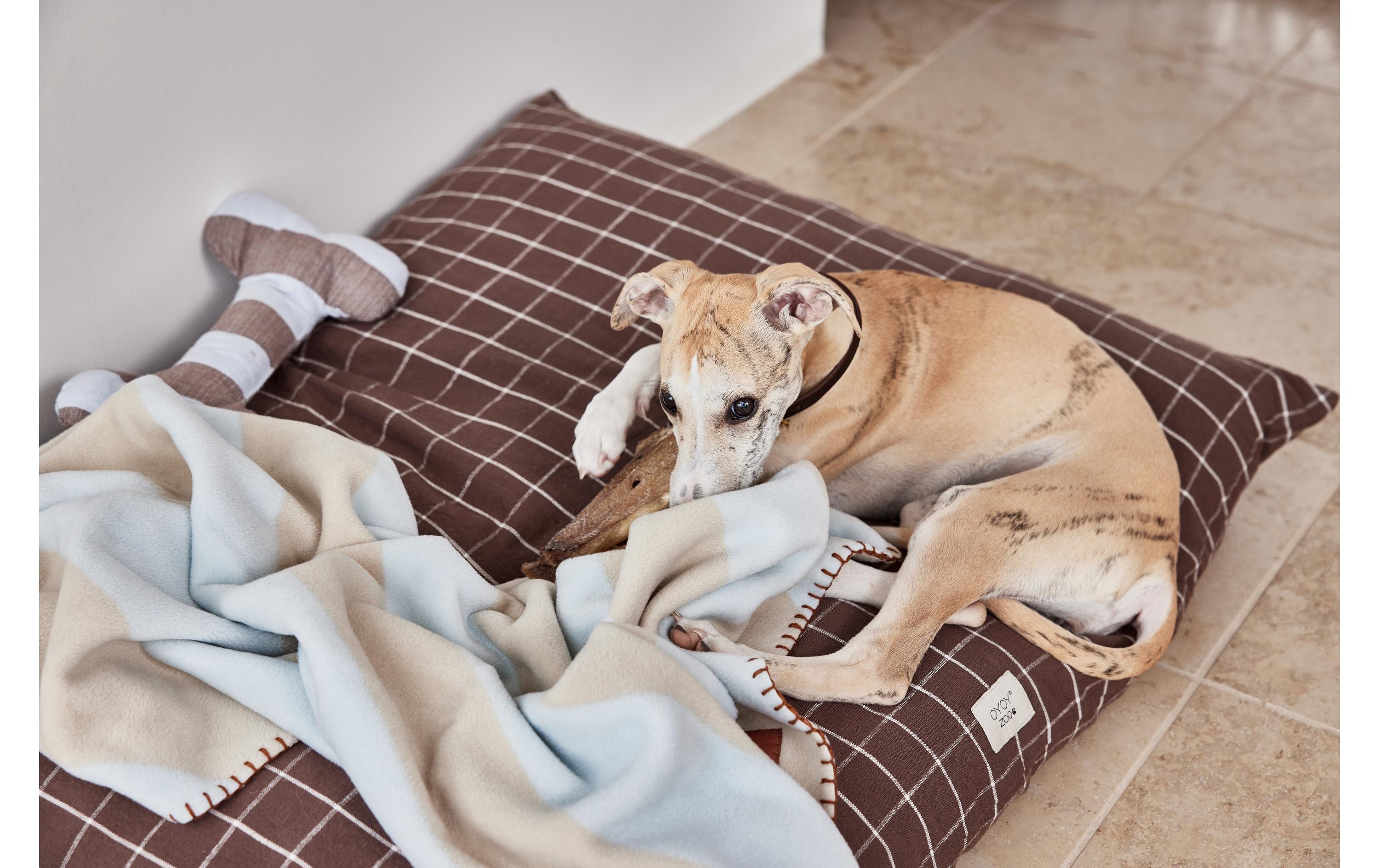 Hunde-Decke Kaya, L, IceDecke