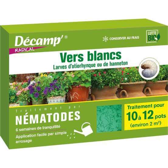 Nématodes anti vers blancs, otyorinques et hannetons - 1m