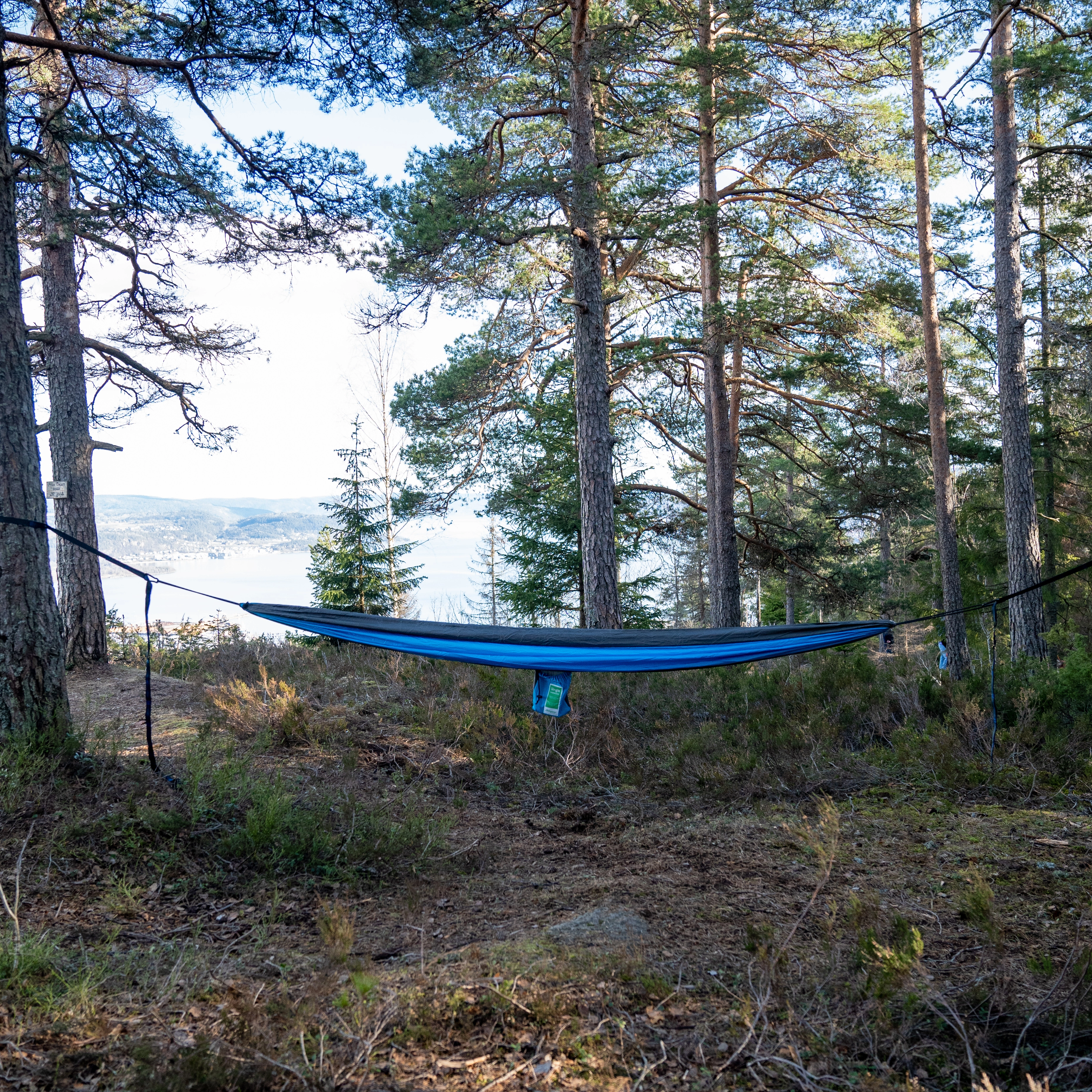 Single Hammock Blue