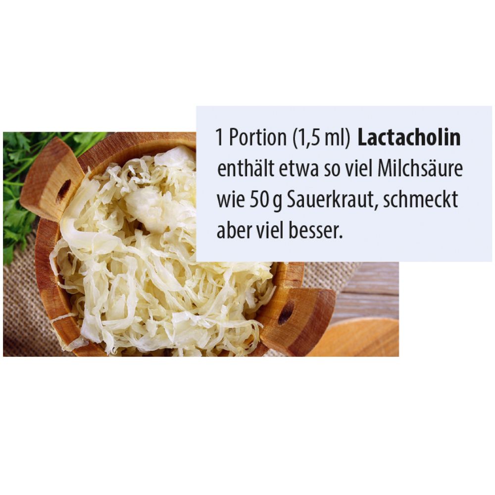 Dr. Jacob's LactaCholin fermentiert Milchsäure Cholin Vitamin-B-Komplex vegan