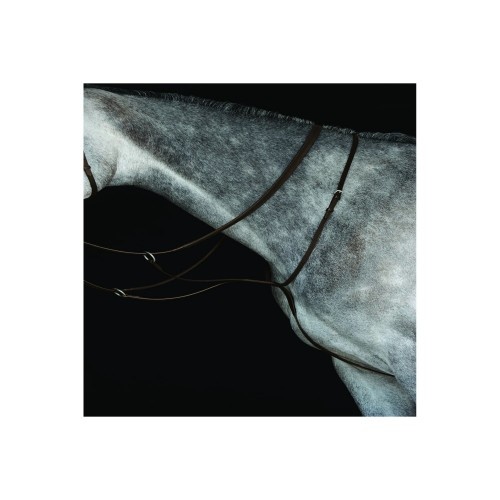 Coleira Martingale Colegial de Couro com Slider IV Marrom para Cavalos