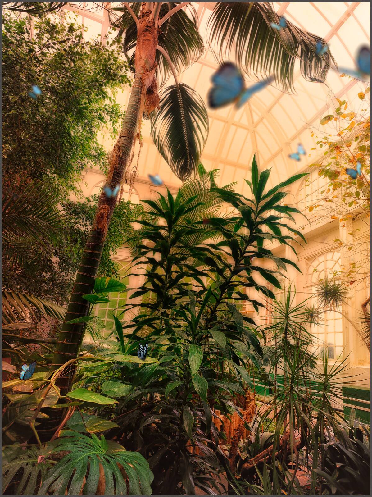 Butterfly House, Lancaster I by Werner Pawlok - Limited Edition. Edition of: 150. Signed.