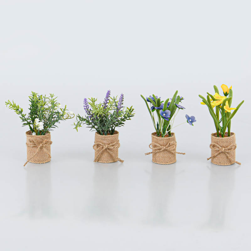 Petites fleurs en pot
