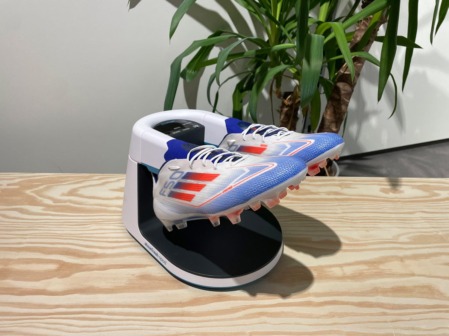 Shoefresh  Schoenenverfrisser Opod