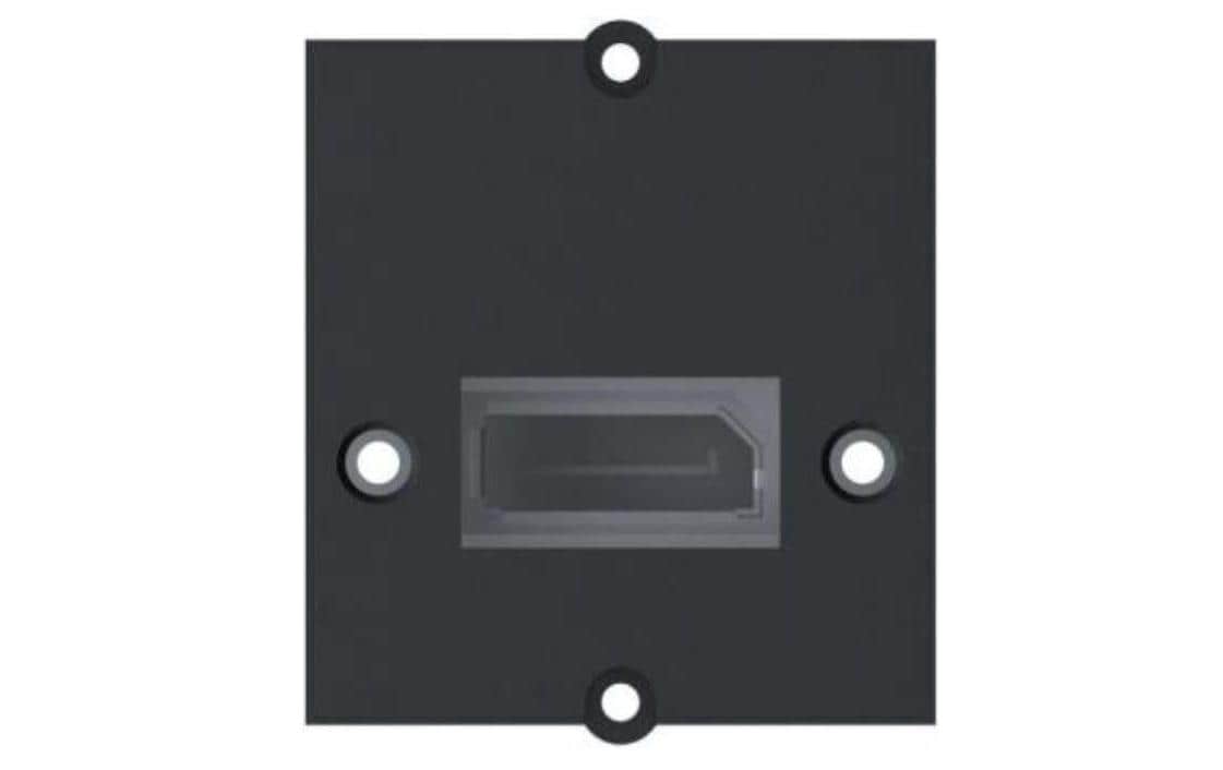 Custom Modul 1x DisplayPort1x DisplayPort