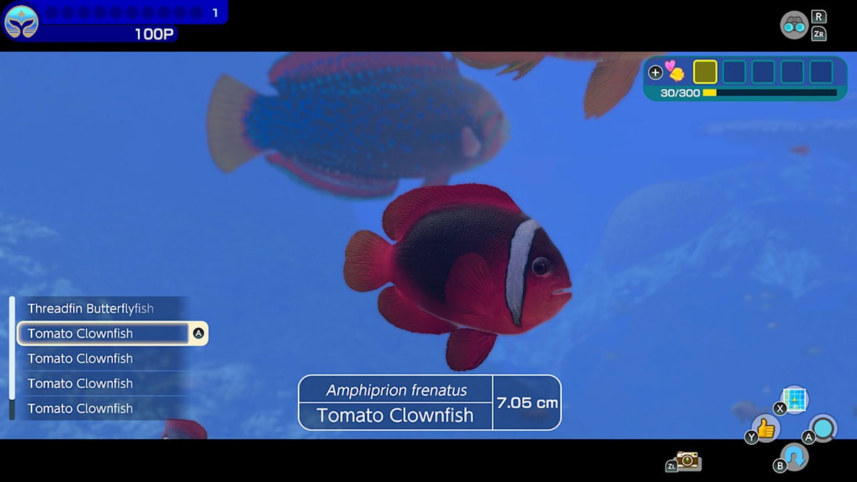 Endless Ocean Luminous- Nintendo Switch