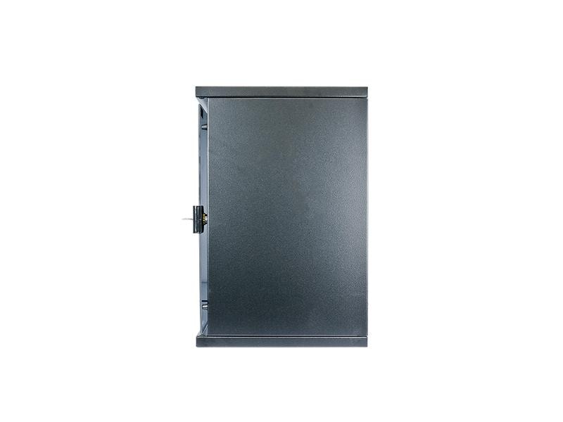 Wirewin Wandschrank WCAB 10 312X300X9U 10