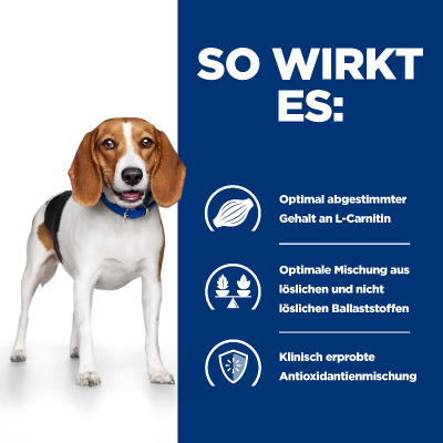 Hill's VET Hund Prescription Diet r/d 12x350g