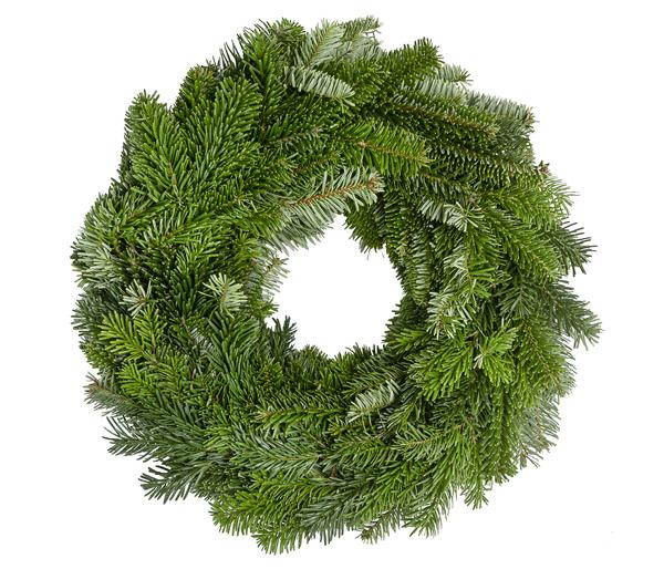 Dehner Premium Adventskranz aus