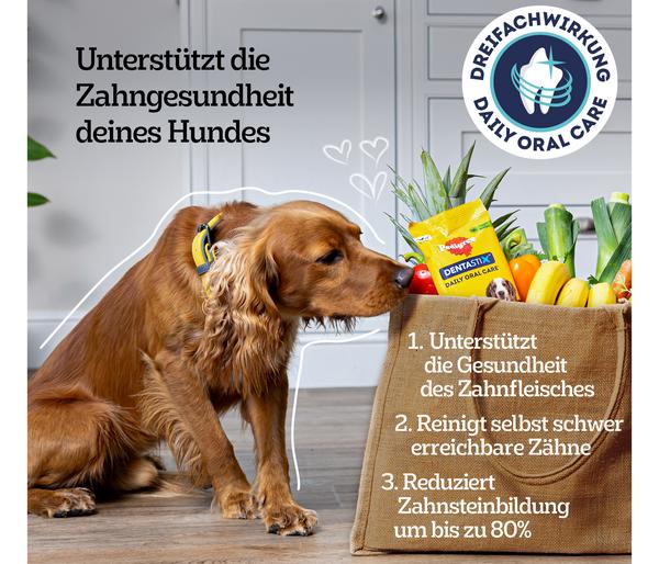 Pedigree® Hundesnack Dentastix Daily Oral