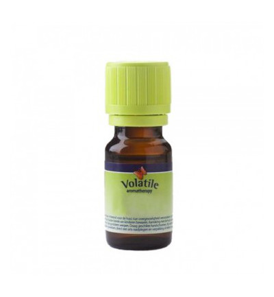 Volatile Kokos Parfum (5 ml)