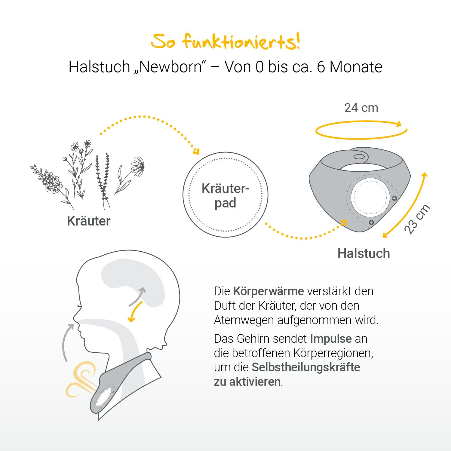 LÖWENKIND Einsteigerbox mit Halstuch 