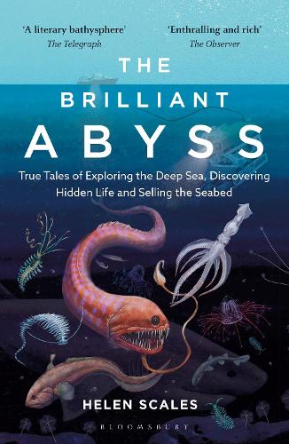 The Brilliant Abyss: True Tales of Exploring the Deep Sea, Discovering Hidden Life and Selling the Seabed (Paperback)