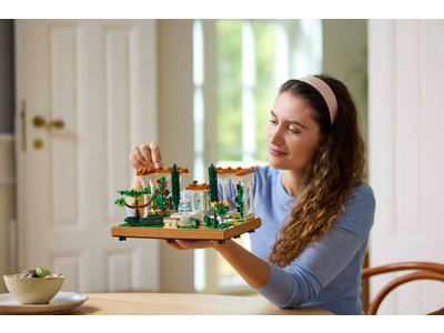 LEGO Tuin met fontein (10359)