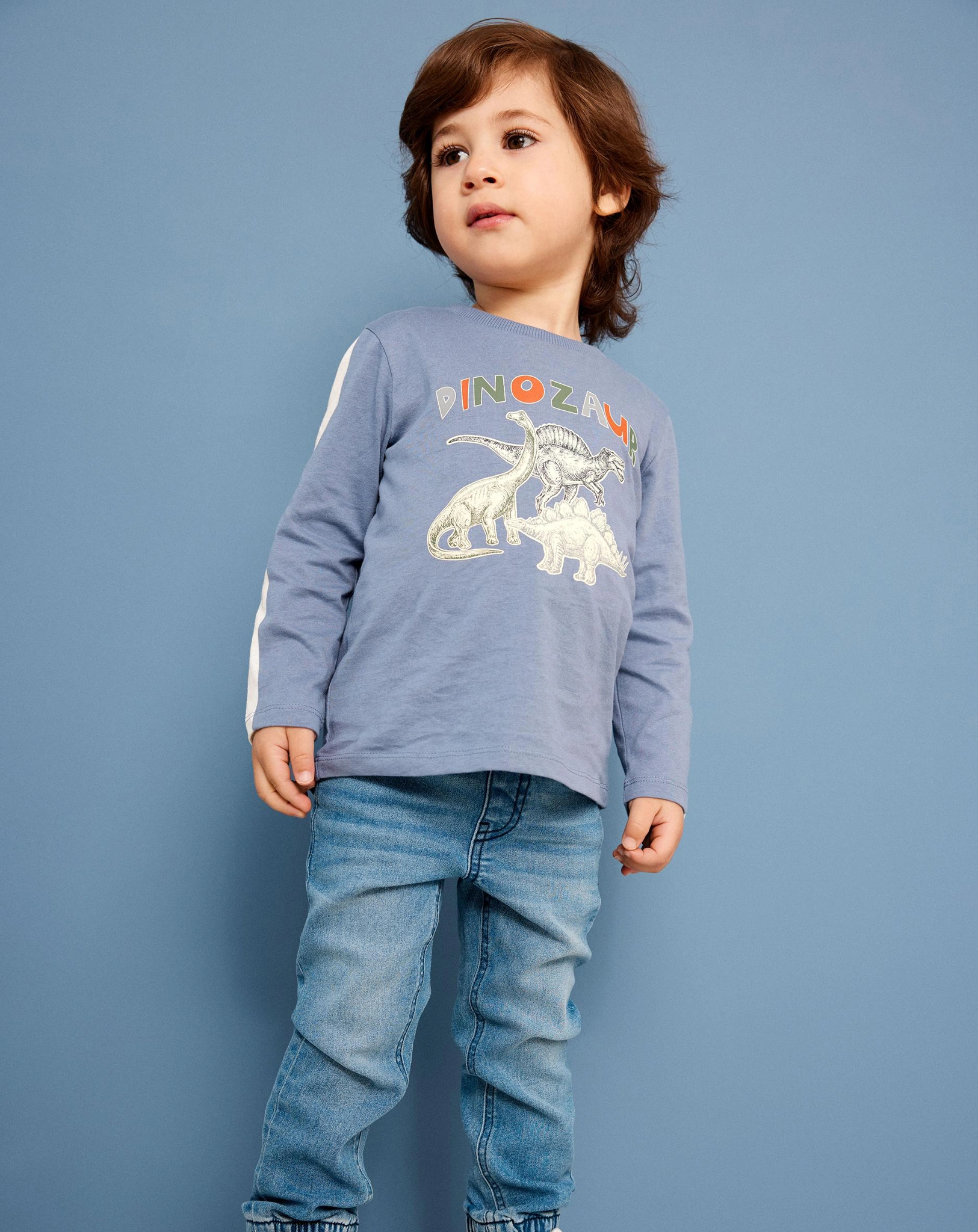 Langarmshirt NMMTRULLE DINOZAUR in wild wind