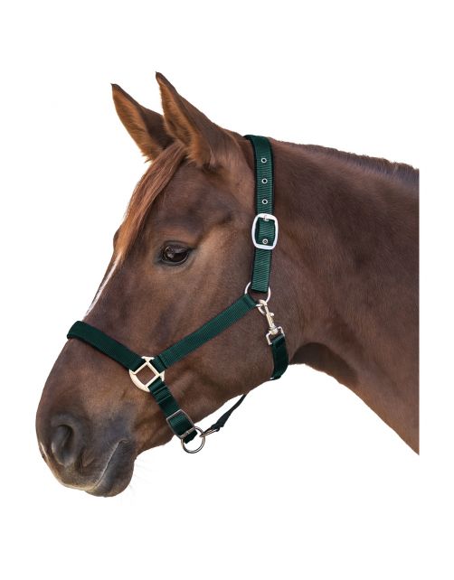 Waldhausen Halster Satin Donkergroen - Paardenhalster