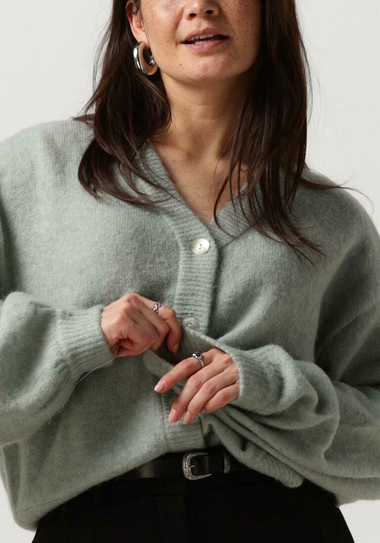 MSCH COPENHAGEN groene msch copenhagen trui mschpetrinelle hope cardigan