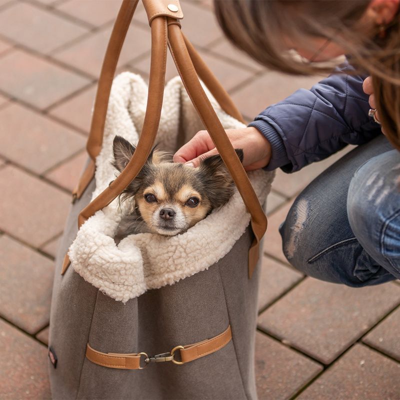 Sac de transport Trixie Rachel