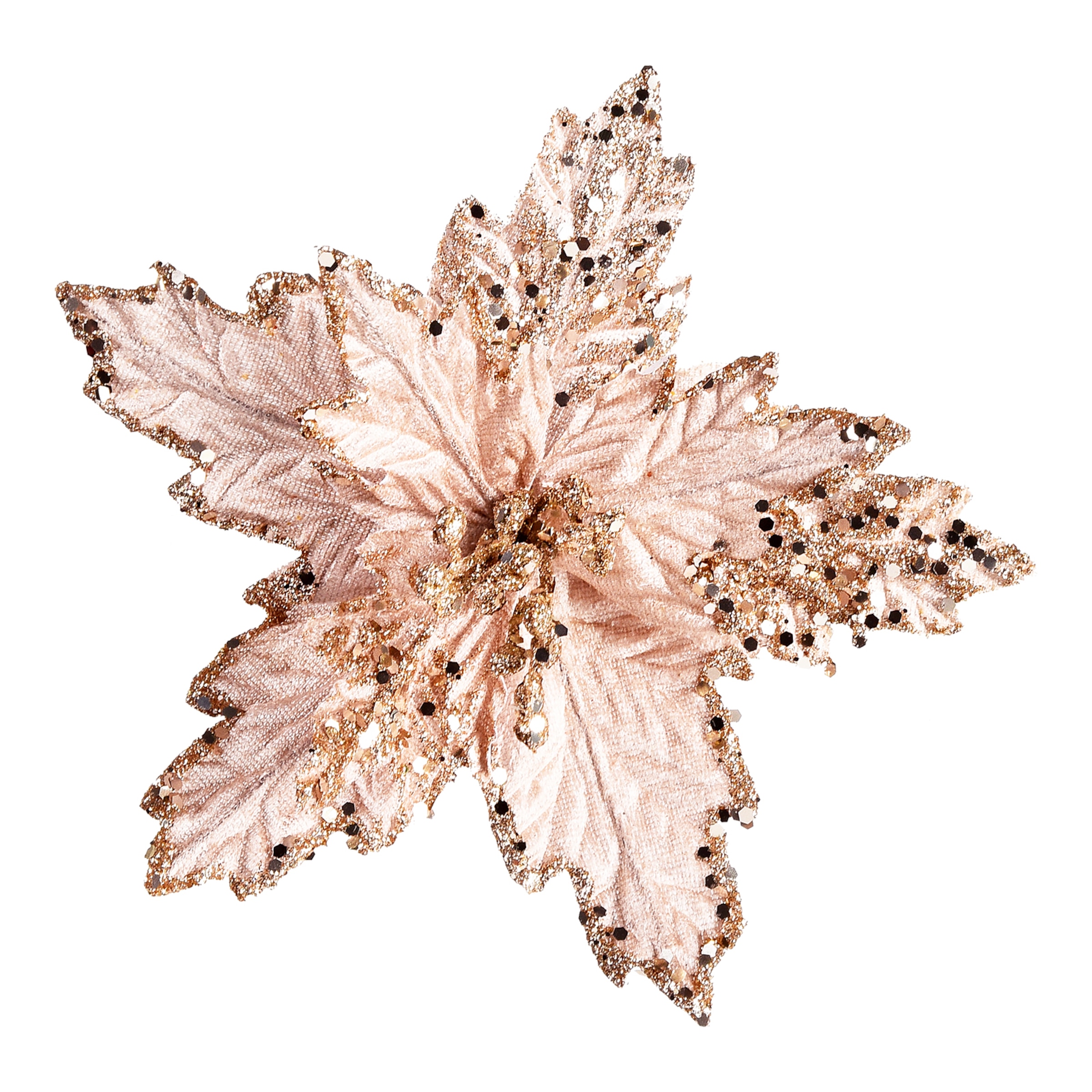 champagne, ⌀ 20 cm