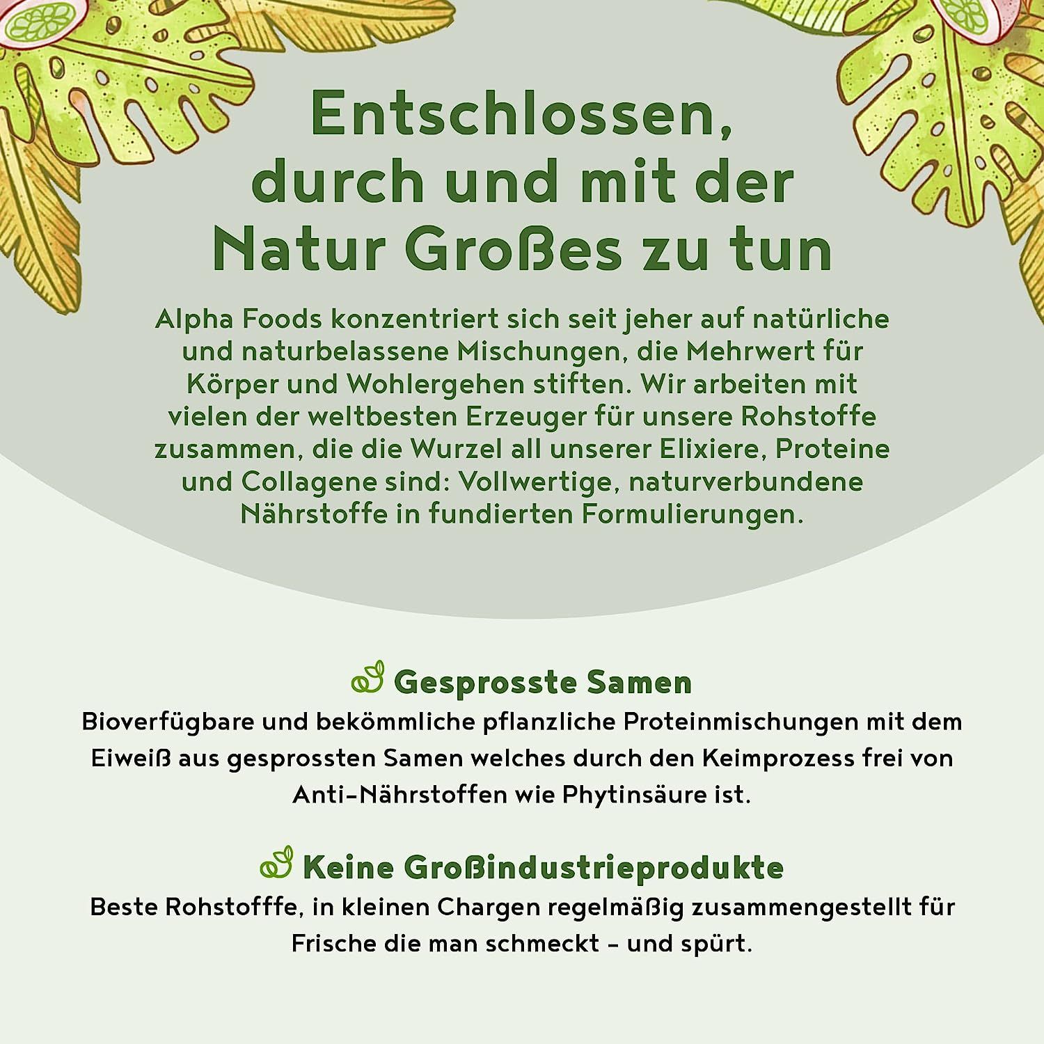 Vegan Protein - HASELNUSS - Pflanzliches Proteinpulver